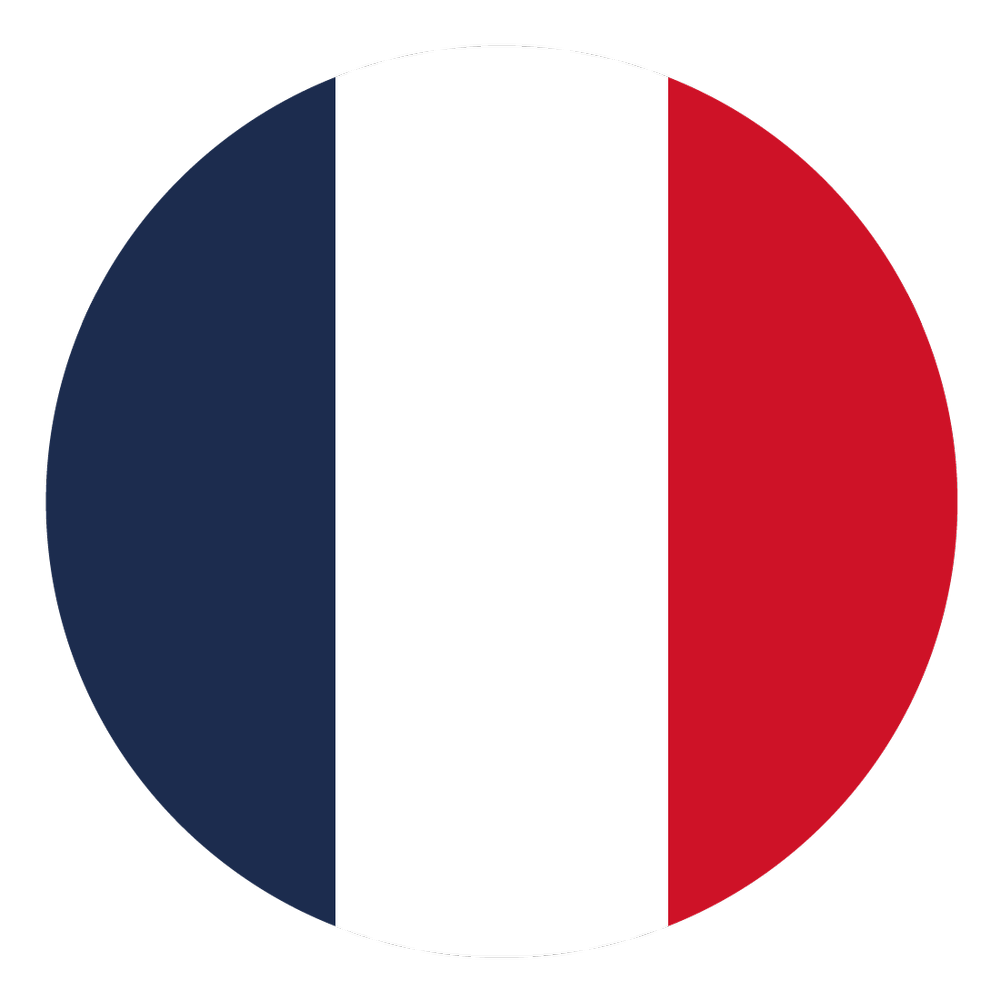 Language