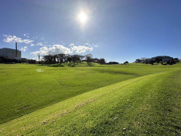 Auckland Domain