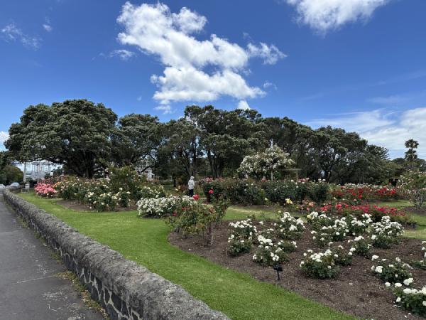 Parnell Rose Gardens