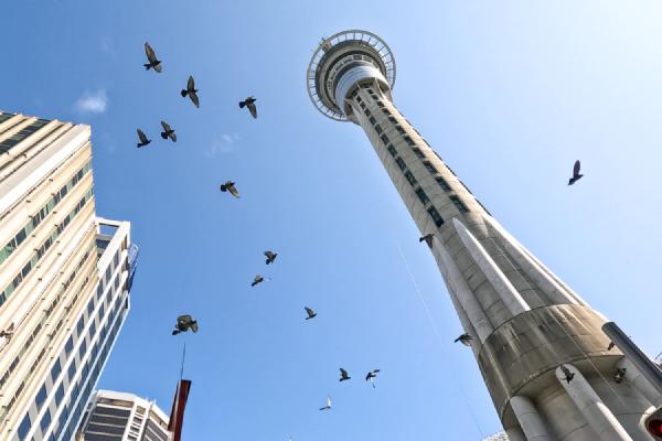 SkyTower & SkyCity