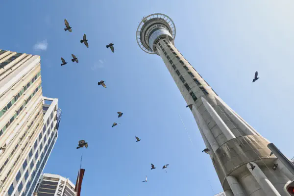 SkyTower & SkyCity